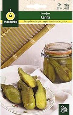 Opciones de vegetales para cultivar sin espacio para berenjenas