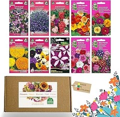 Opciones si tus semillas de flores no germinan