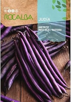 Opciones de cultivos para macetas: Alternativas a judías y guisantes