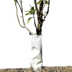 Opciones efectivas para proteger tus plantas sin tubos ni fundas