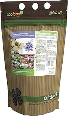 ¿Cómo preparar sustrato casero perfecto para cactus y plantas crasas?