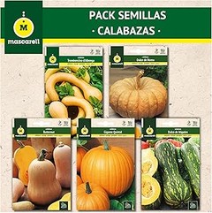 Ventajas de Usar Packs de Semillas en tu Huerto en Casa