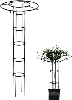¿Por qué usar soportes verticales en jardines pequeños?