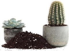 Ventajas de un sustrato especializado para cactus y plantas crasas