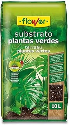 Conoce los Beneficios del Mantillo en tu Jardín