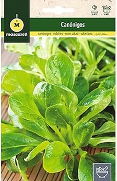 Descubre los beneficios nutricionales de los mix de ensaladas caseras