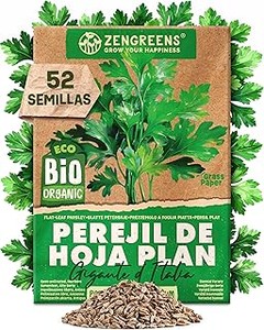 Guía para cosechar y almacenar semillas de albahaca
