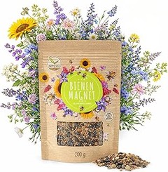 Crea un jardín amigable para polinizadores con estas plantas