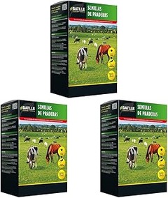 Guía para Transformar tu Jardín en una Pradera de Flores Silvestres