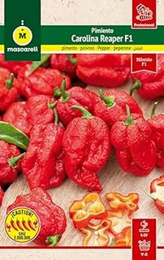 Guía para el cuidado de plantas de pimiento después de germinar