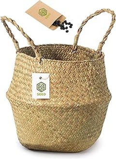 Guía para elegir el macetero decorativo perfecto para tus plantas