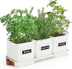 Guía para elegir el mejor kit de cultivo vertical de aromáticas