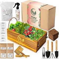 Guía para seleccionar el kit de semillas ideal según tu espacio