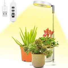 Guía para elegir el mejor medidor de luz para tus plantas