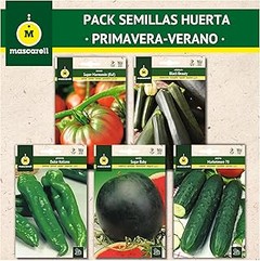 Guía para seleccionar packs de semillas de hortalizas para iniciantes