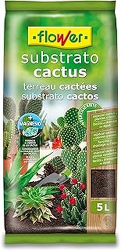 Guía para seleccionar el sustrato adecuado para tus cactus