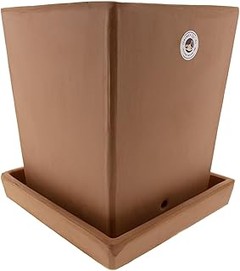 Guía para seleccionar la maceta ideal para tus plantas