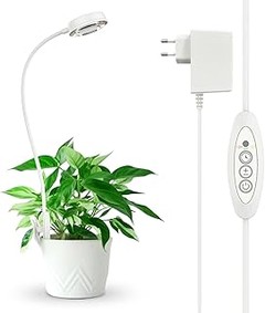 Guía para Seleccionar la Lámpara de Crecimiento Ideal para Suculentas y Cactus