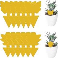 Guía para Instalar Trampas Efectivas contra Mosquitos y Moscas