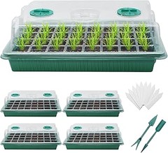 Guía para instalar un mini invernadero para semilleros