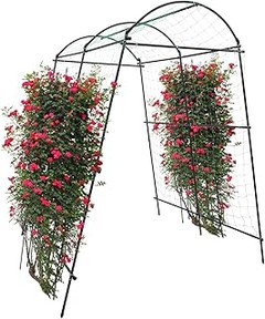 Guía para instalar correctamente una celosía para plantas trepadoras