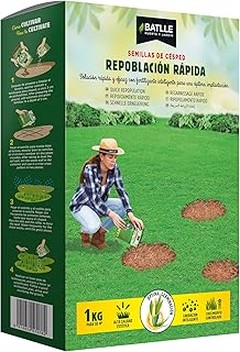 Consejos para el Mantenimiento del Césped Después de Usar Reparadores de Calvas