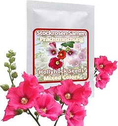 Guía para plantar semillas de flores en macetas colgantes