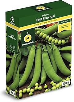 Guía para plantar semillas de judía y guisante en macetas