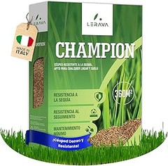 Guía Práctica para Plantar y Cuidar Semillas de Césped de Crecimiento Rápido