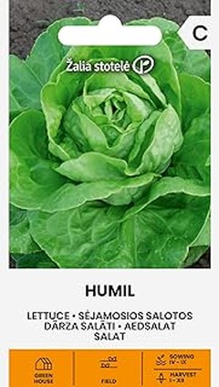 Consejos para prevenir plagas en el cultivo de lechuga