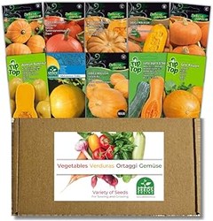 Guía para sembrar semillas de calabacín y calabaza en tu terraza