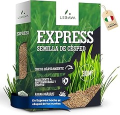 Guía para sembrar semillas de césped en tu jardín