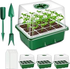 Maximiza la germinación con un mini invernadero: guía práctica