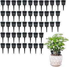 Guía práctica para usar abonos de liberación lenta en macetas y jardineras