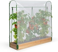 Comparativa de los mejores tipos de invernaderos para tu huerto urbano