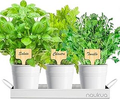 Mejores Kits de Cultivo Vertical de Aromáticas para tu Cocina
