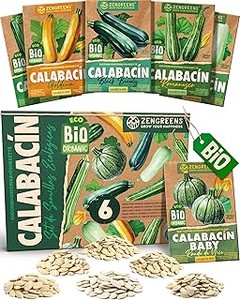 Mejores Semillas de Calabacín y Calabaza: Comparativa de Marcas