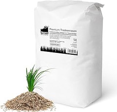 Mejores Semillas de Césped para Climas Cálidos: Comparativa