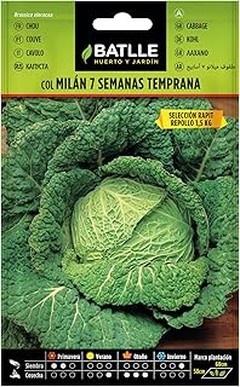 Comparativa de Variedades de Semillas de Repollo y Brásicas