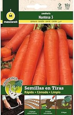 ¿Semillas de Zanahoria Tradicionales o Híbridas? Descubre las Diferencias