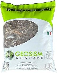 Los Mejores Sustratos para Cactus y Suculentas: Comparativa