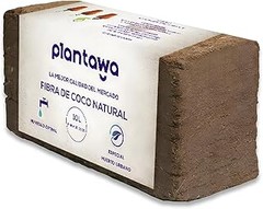Ladrillos de Coco o Fibra de Coco: ¿Cuál es la mejor opción para tu cultivo?