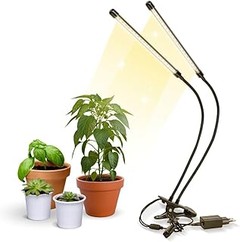 ¿Qué lámpara es mejor para tus plantas: LED o fluorescente?