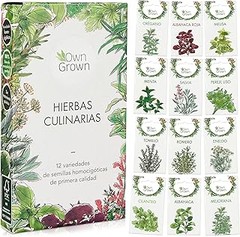 Semillas de Albahaca vs Perejil: ¿Cuál elegir para tu maceta?