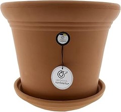 Cómo Cuidar y Mantener tus Macetas de Cerámica de Forma Efectiva