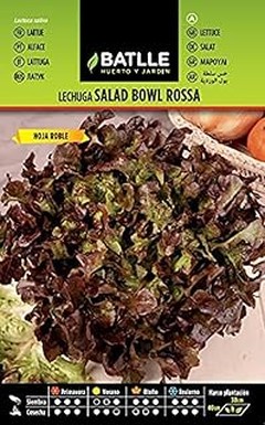 Cómo cosechar lechuga de forma efectiva en tu huerto urbano