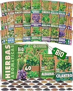 Cómo sembrar semillas de aromáticas en macetas: consejos prácticos