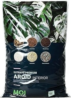 Comparativa de Costos: Sustratos Ligeros y Otros Tipos para Jardineras