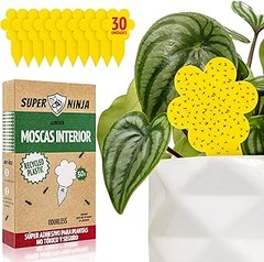El mejor momento para usar trampas para insectos en tu jardín