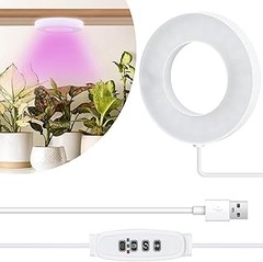 Requisitos de luz para invernaderos pequeños en casa